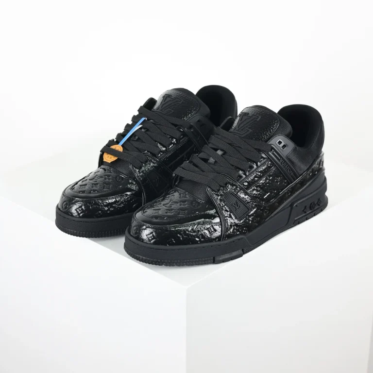Louis Vuitton Traine