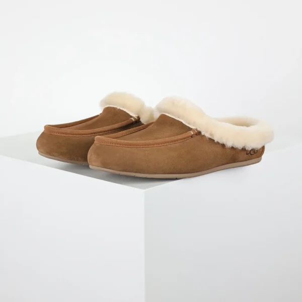 Winter Boots Boots